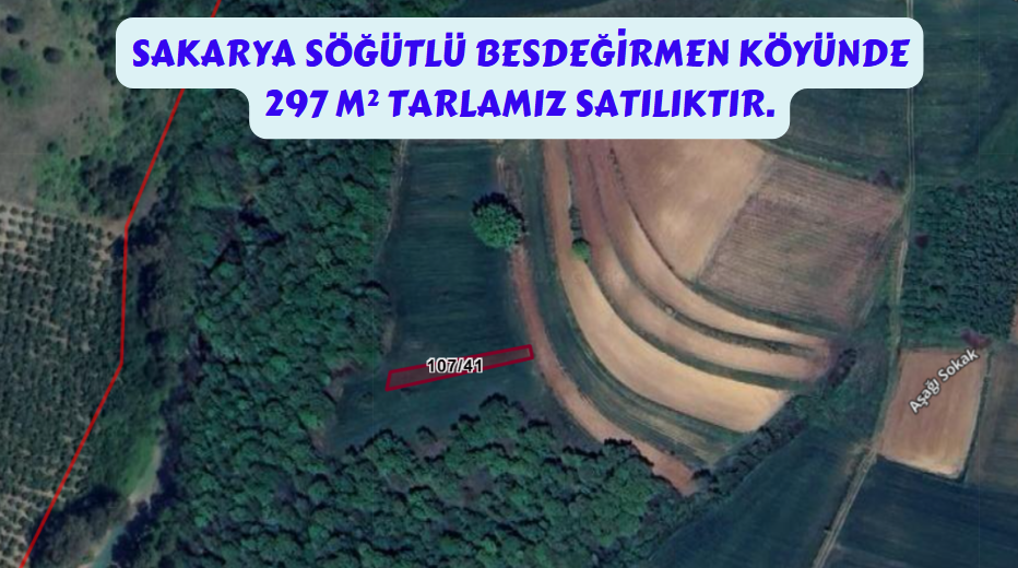 SAKARYA SÖĞÜTLÜ BEŞDEĞİRMEN KÖYÜNDE 297 M² TARLAMIZ SATILIKTIR - SAKARYA SÖĞÜTLÜ fotoğraf 7